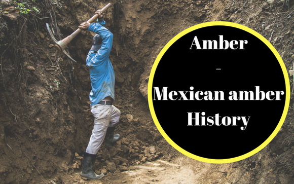 Mexican amber history