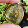 Aa grade green Mexican Amber 11.6g Nice Round shape pendant