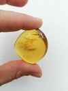 Aa grade green Mexican Amber 11.6g Nice Round shape pendant