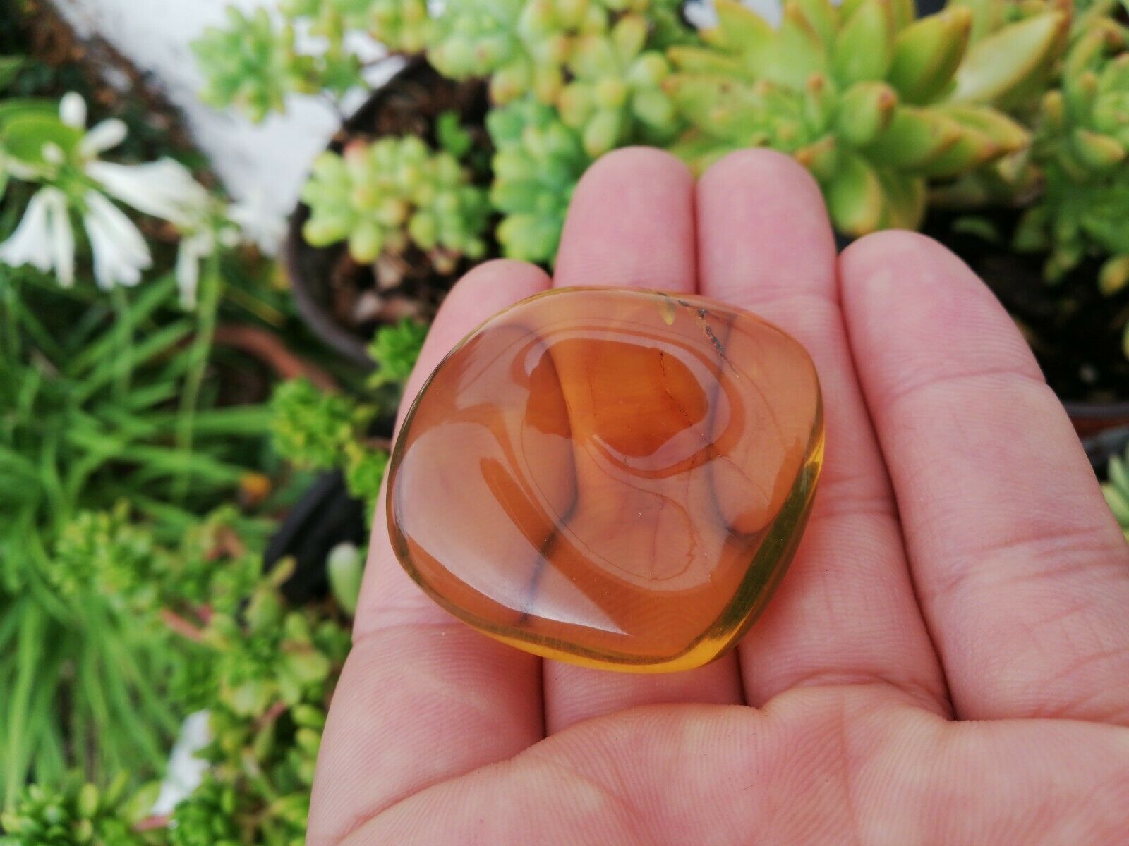Aa grade green Mexican Amber 11.6g Nice Round shape pendant