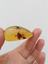 Clear Blue Green Mexican Amber 15g Nice Drop Shape Pendant