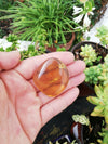 Aa grade green Mexican Amber 11.6g Nice Round shape pendant