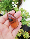 Clear Blue Green Mexican Amber 15g Nice Drop Shape Pendant