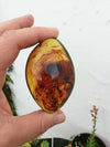 Unique patterns in Mexican Amber 47g Nice Round shape pendant