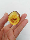 Aa grade green Mexican Amber 11.6g Nice Round shape pendant