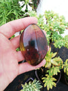 Unique patterns in Mexican Amber 47g Nice Round shape pendant