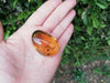 Clear blue green Mexican Amber 13.7g Nice Round shape pendant
