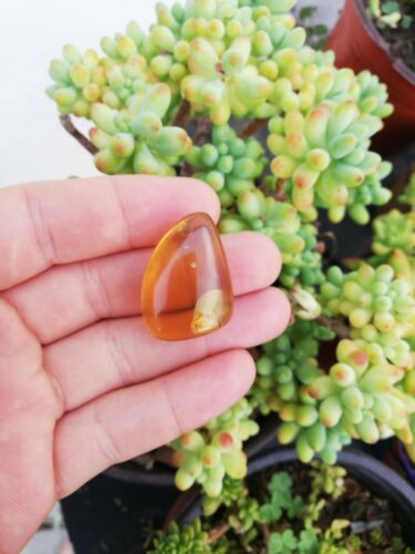 Clear Mexican Amber 5.3g fully polished blue green