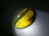 Clear Mexican Amber 10g fully polished with enhydro