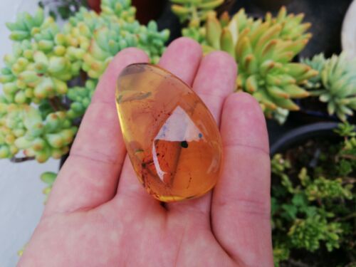 Good Shape Clear pendant blue green Mexican Amber 18.3g