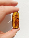 Insect debris inside Mexican amber 16.3g
