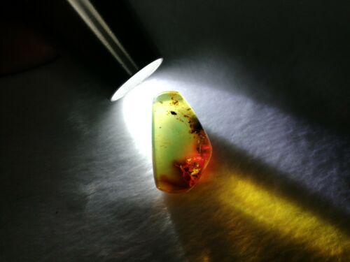Mexican Amber 4g fully polished blue green gem