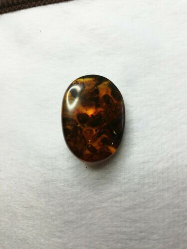 Mexican Amber 5.1g fully polished blue green gem