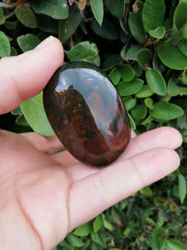 Ants and stingless bees with other insects inside Mexican amber 21.2g