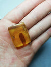 Square cabochon pendant Mexican Amber 5g fully polished with insect debris