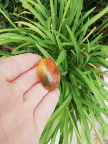 Honey Mexican Amber 9.6g fully polished cabochon pendant