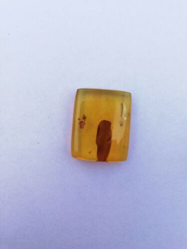 Square cabochon pendant Mexican Amber 5g fully polished with insect debris