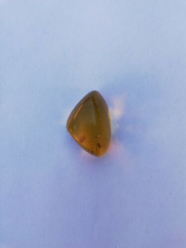 Mexican Amber 5.6g fully polished pendant cabochon