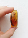 Stingless bees and other insects inside Mexican amber 26.5g