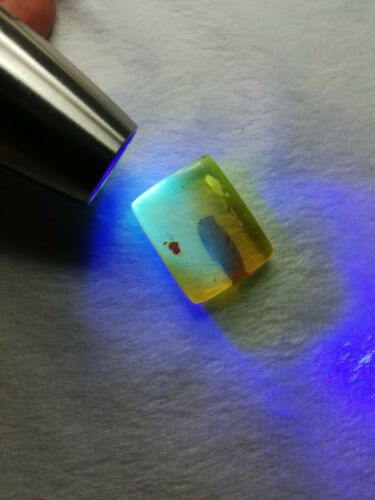 Square cabochon pendant Mexican Amber 5g fully polished with insect debris