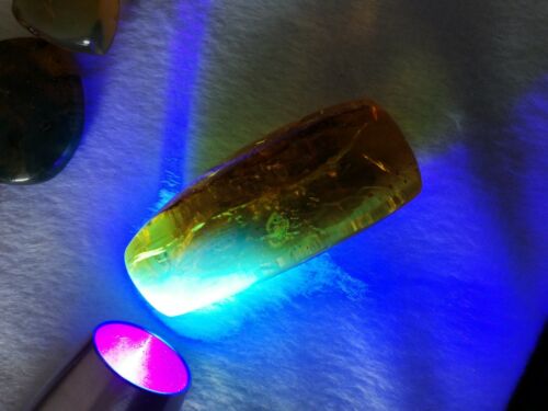 Insect debris inside Mexican amber 16.3g