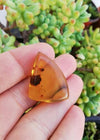 Mexican Amber 4.2g fully polished blue green cabochon pendant