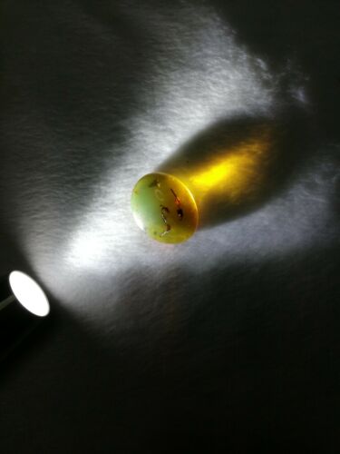 Mexican Amber 4.2g fully polished cabochon pendant