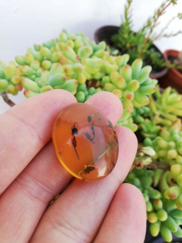 Mexican Amber 4.2g fully polished cabochon pendant