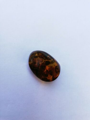 Mexican Amber 5.1g fully polished blue green gem