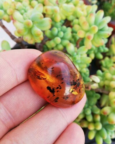 Mexican Amber 7.3g fully polished cabochon pendant