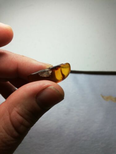 Red cognac Mexican Amber 3.1g fully polished pendant cabochon