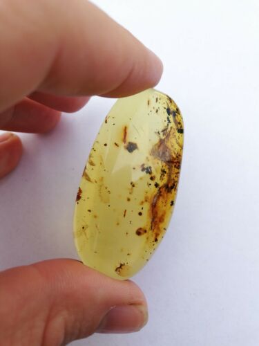 Clear Mexican Amber 10g Pendant shape fully polished