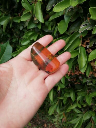 Stingless bees and other insects inside Mexican amber 26.5g