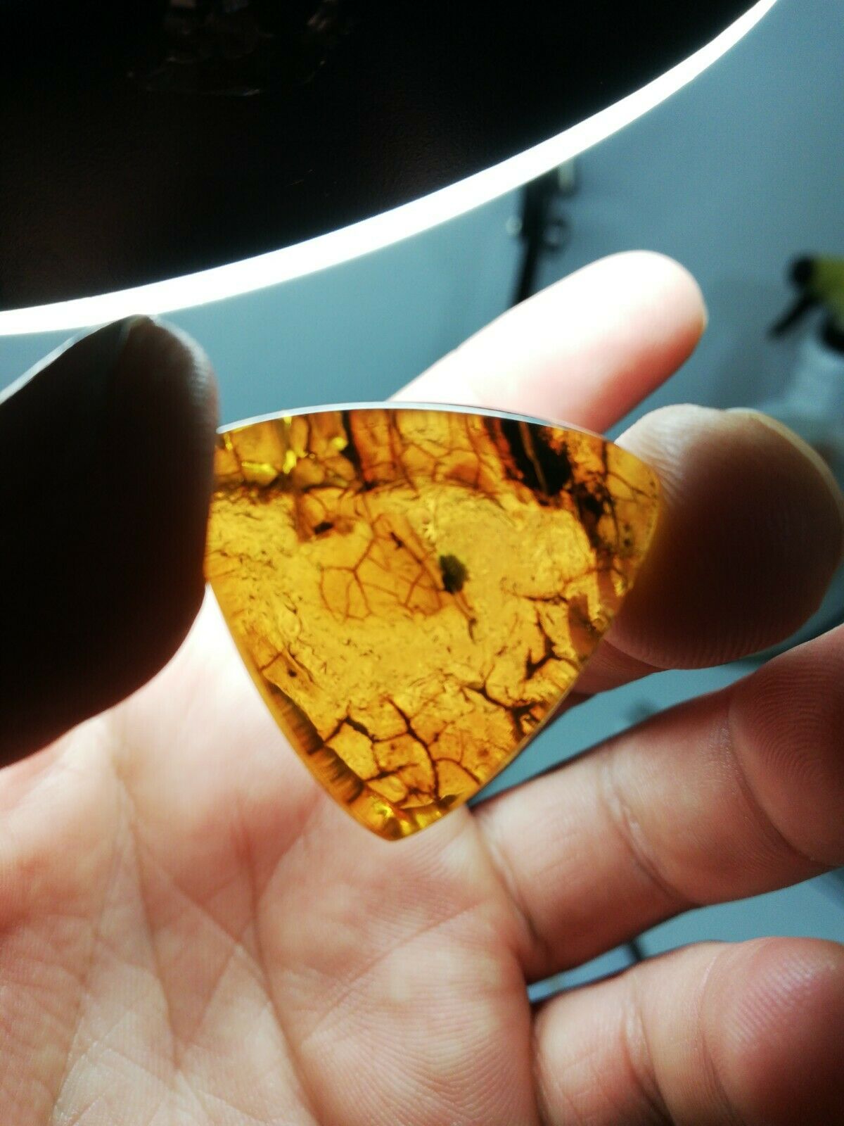 Mexican Amber 5.5g cabochon with natural crust special blue green color