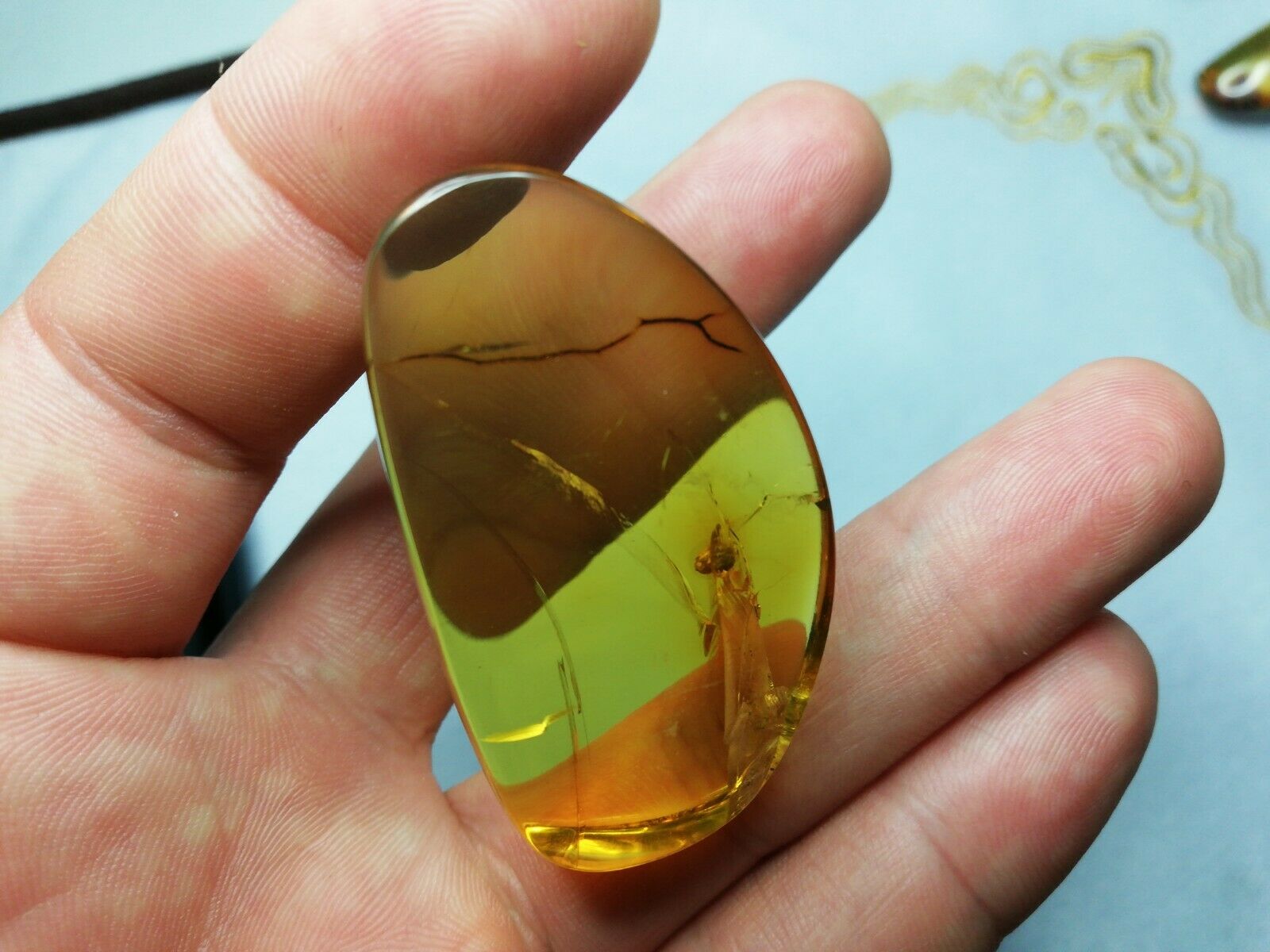 Clear Mexican Amber 10g fully polished with enhydro
