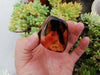 Red green Mexican Amber 31.8g natural full polished