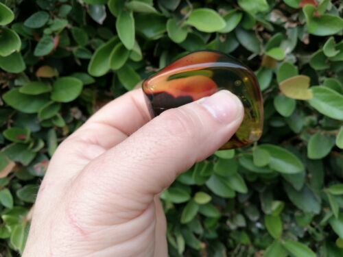 Red green Mexican Amber 31.8g natural full polished