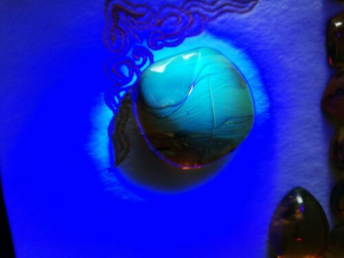 Ants and other insects inside Mexican amber 27.2g