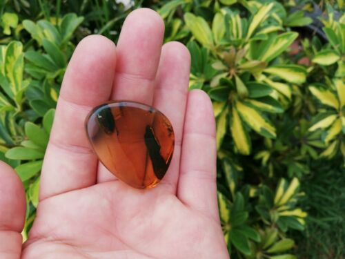 Red skin green Mexican Amber 10.3.g natural full polished