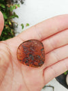 Polishing blue green Mexican Amber 7.6g flat round shape with natural skin