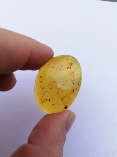 Honey Mexican Amber 9.6g fully polished cabochon pendant