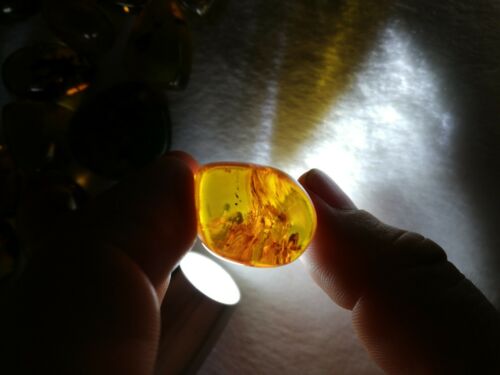 Insect debris inside Mexican amber 16.3g