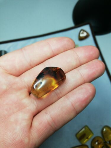 Mexican Amber 4g fully polished blue green gem