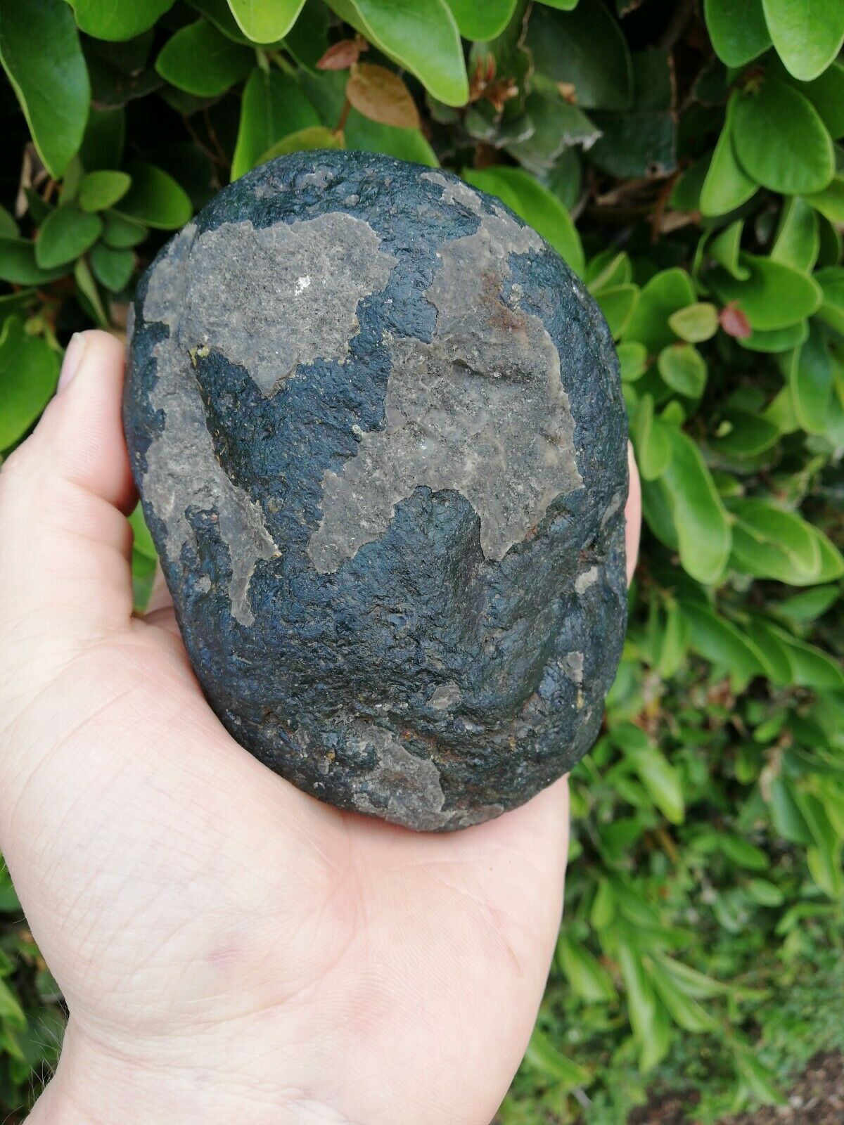 Rare dark blue green Mexican Amber 280g good shape