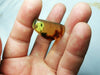 Mexican Amber 4g fully polished blue green gem