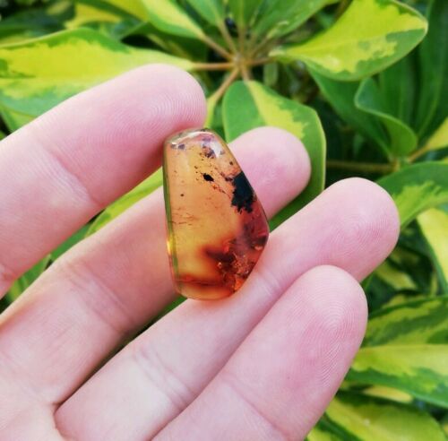 Mexican Amber 4g fully polished blue green gem