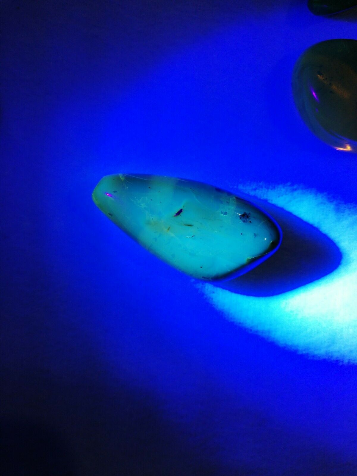 Polished blue green Mexican Amber 11.6g