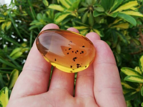 Clear blue green Mexican Amber 13.7g Nice Round shape pendant
