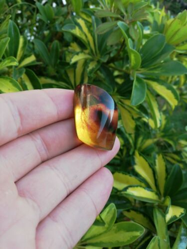 Mexican Amber 6.8g fully polished cabochon pendant