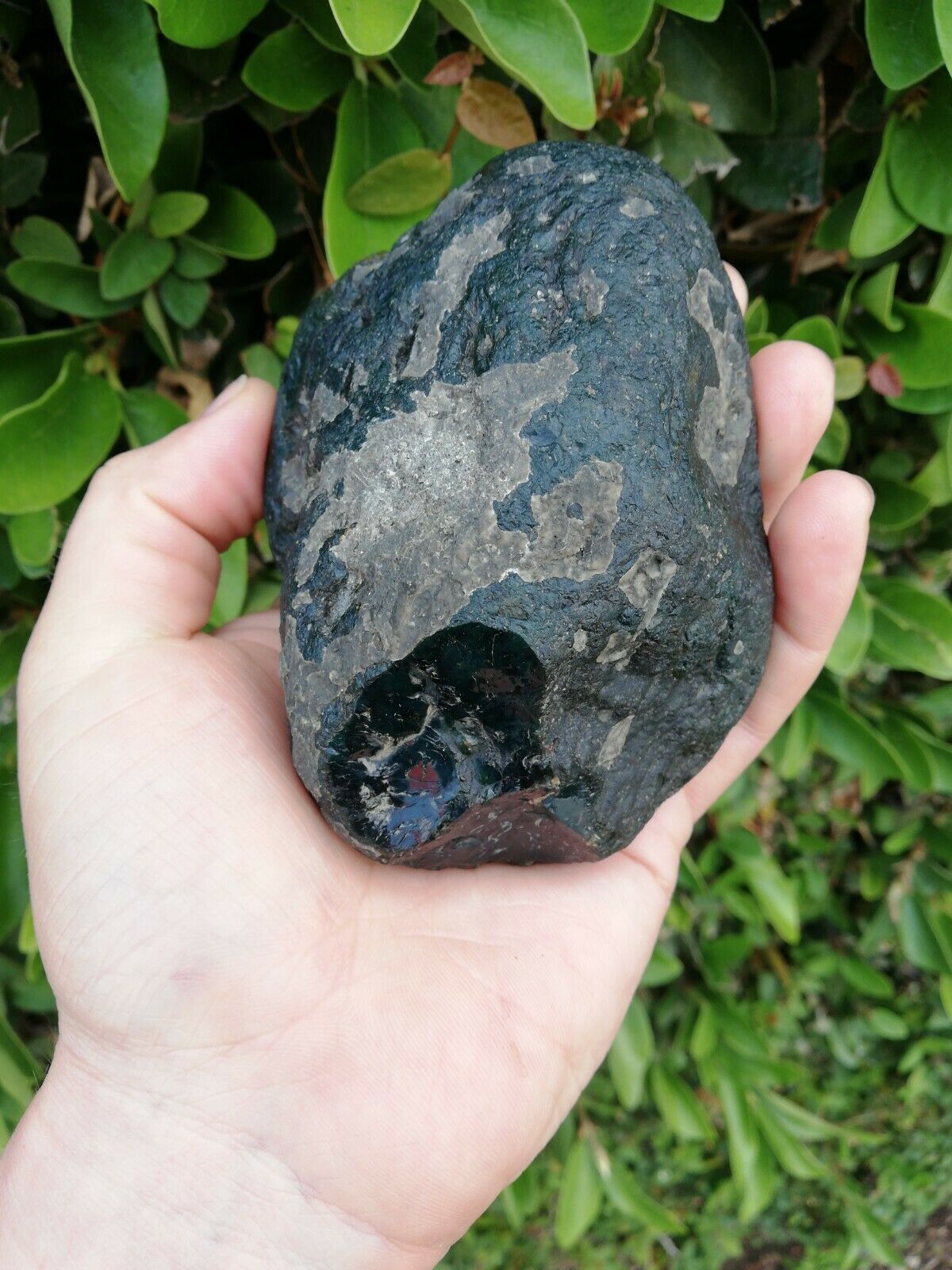 Rare dark blue green Mexican Amber 280g good shape